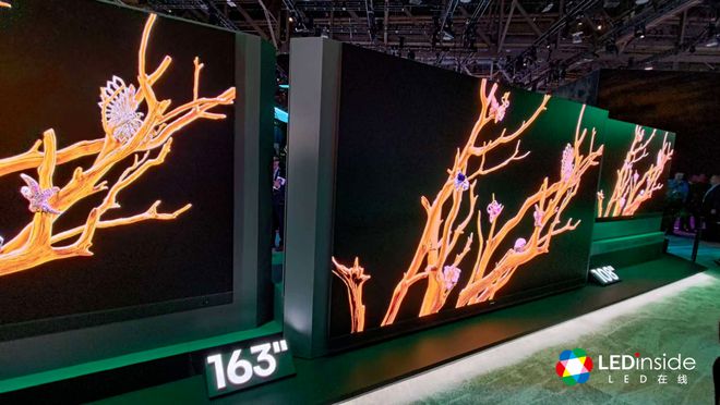 IN to the Future 红杉爱科学EVO视讯CES 2025回顾：DIVE(图21)